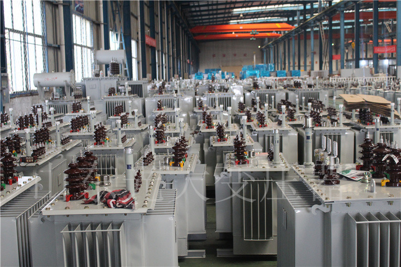龙岗S22-800KVA/10KV